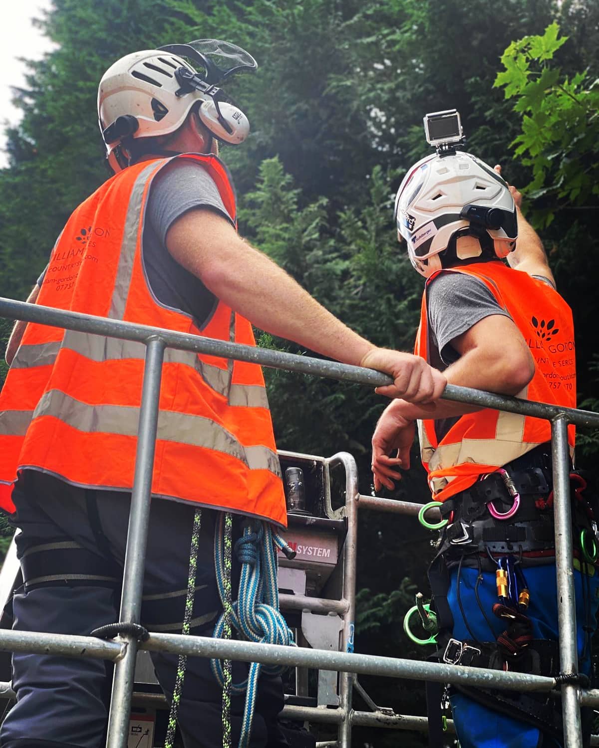 Tree Surgeon Tunbridge Wells