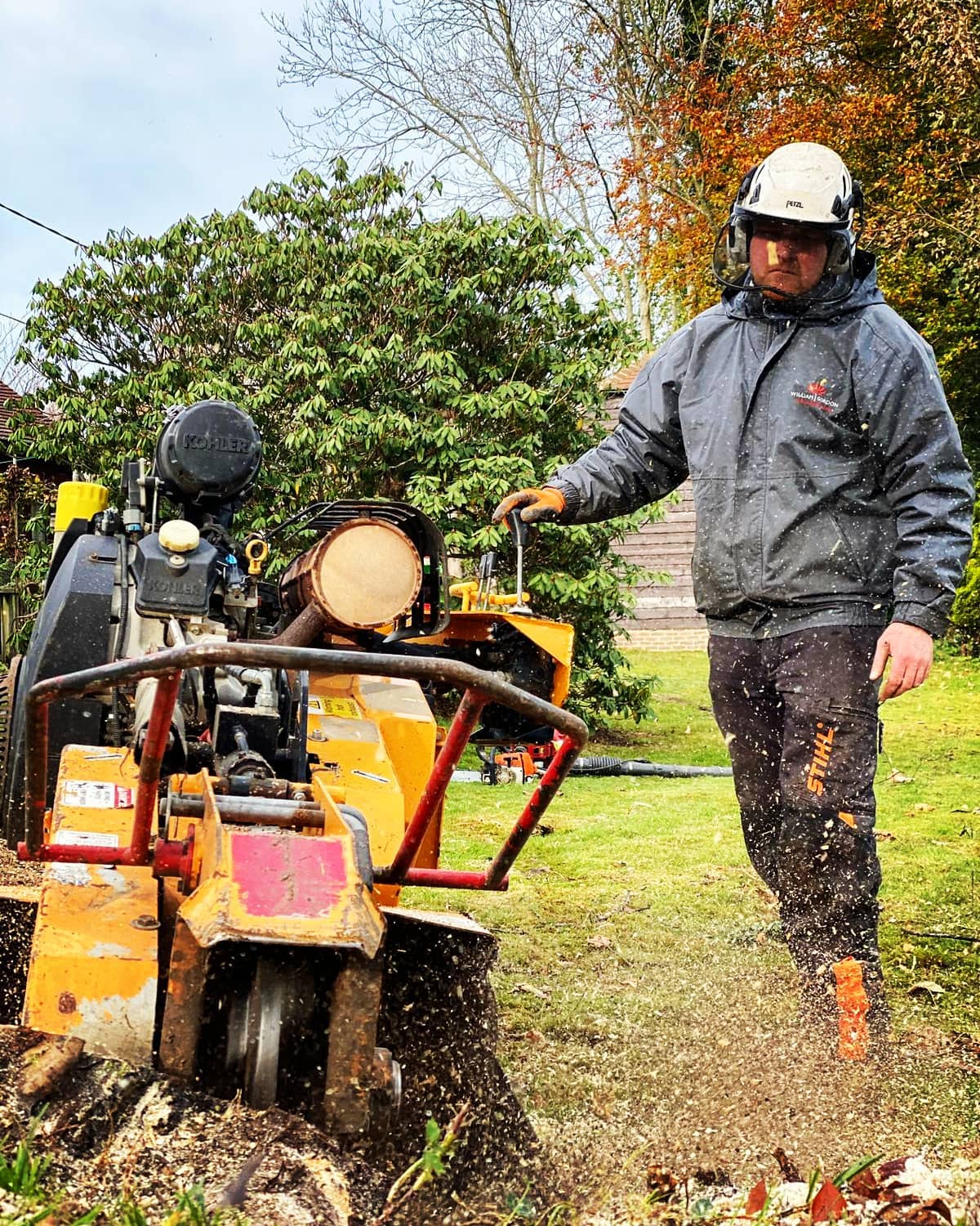 Tree Surgeon Tunbridge Wells