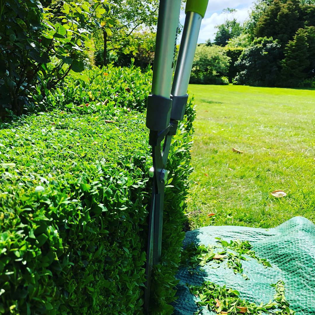 Hedge Trimming Tunbridge Wells