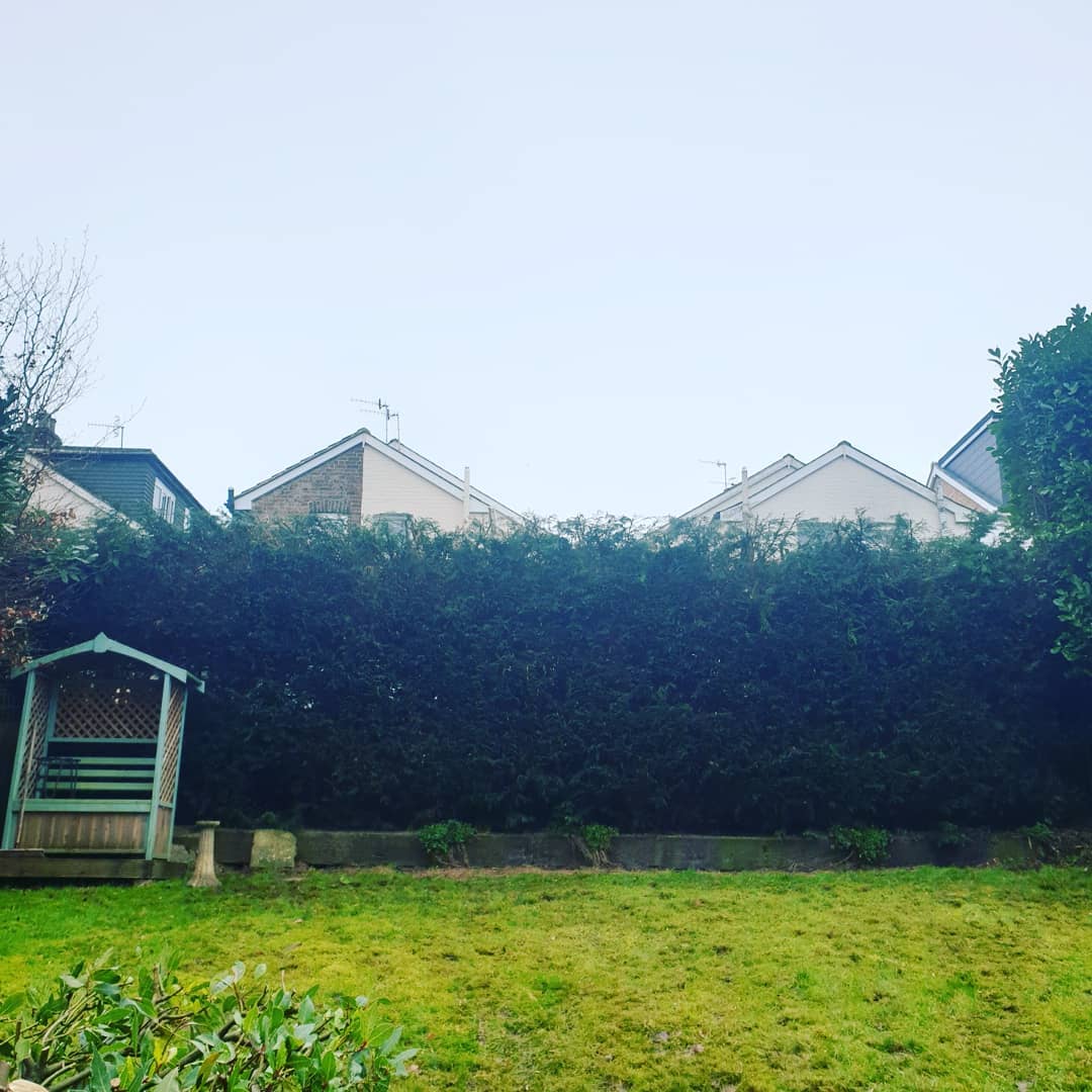 Hedge Trimming Tunbridge Wells