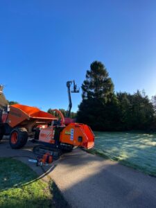 Hedge Pruning Tunbridge Wells