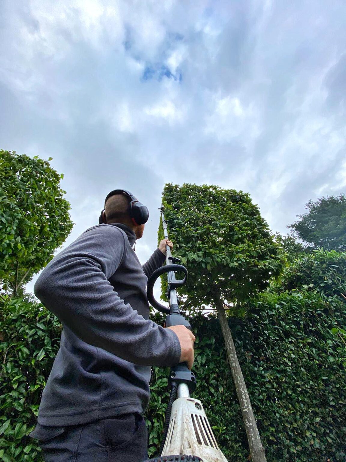 Hedge Trimming Tunbridge Wells