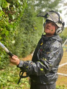 Hedge Trimming Tunbridge Wells
