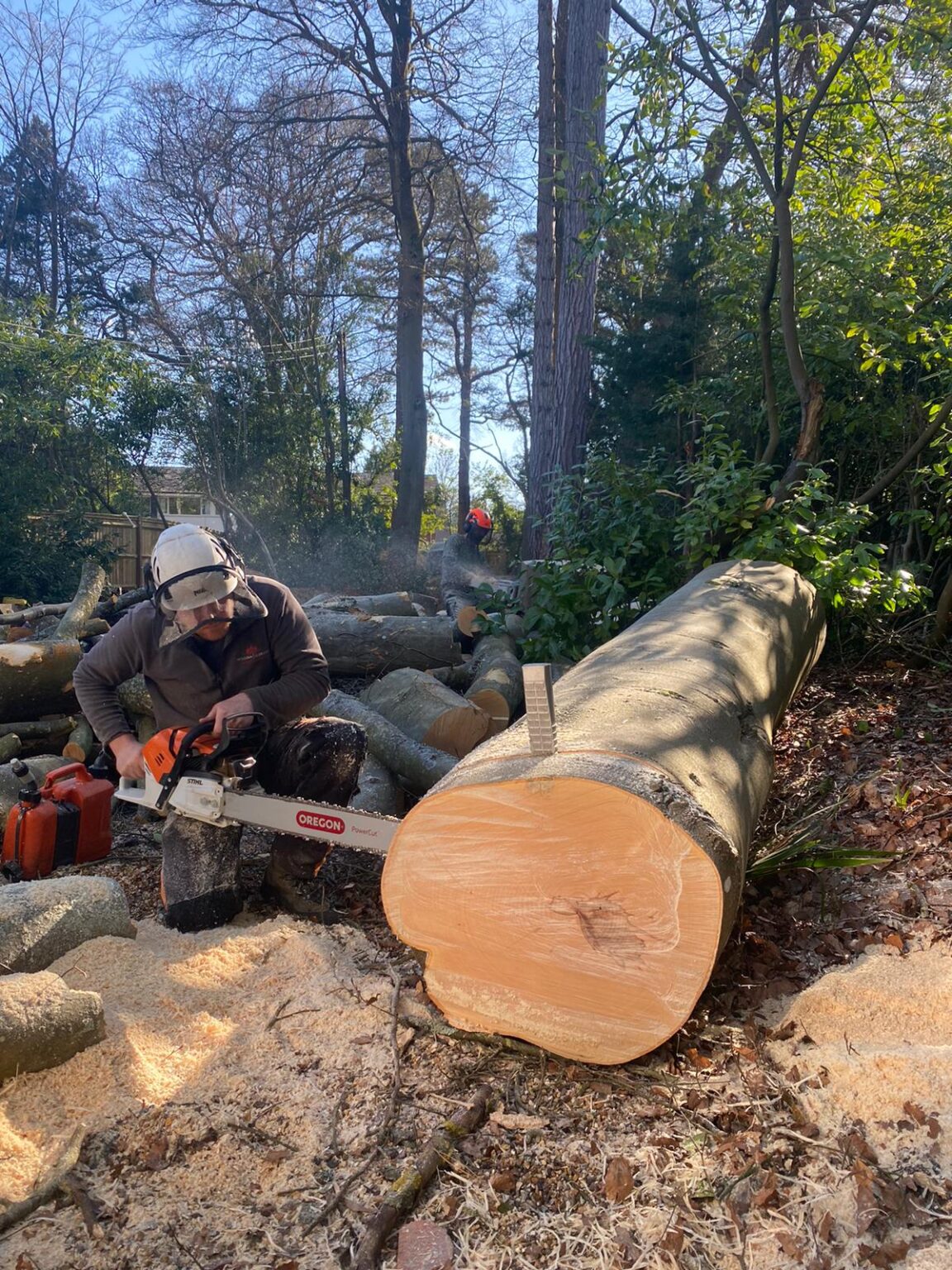 Tree Surgeon Tunbridge Wells